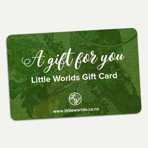 Little Worlds Gift Card